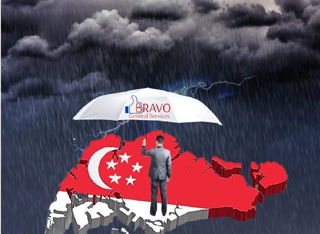 Bravo Umbrella 2